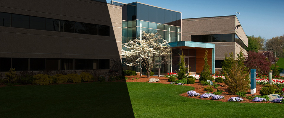 Sutter Landscapers