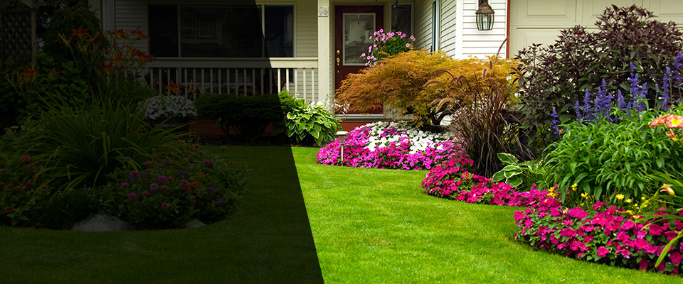 Sutter Landscapers
