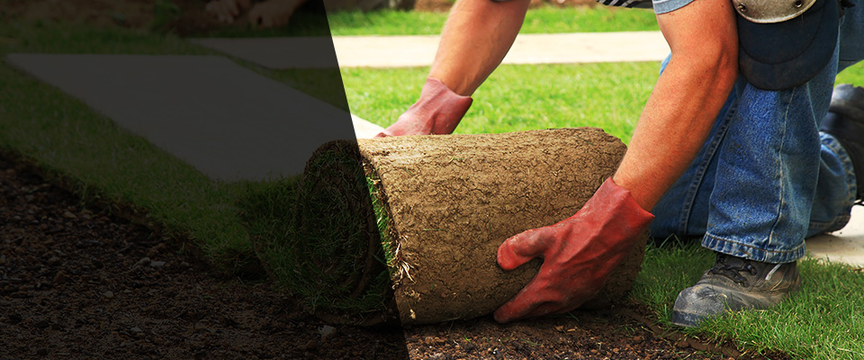 Sutter Landscapers